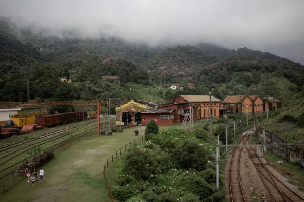 Tren impacto ambiental
